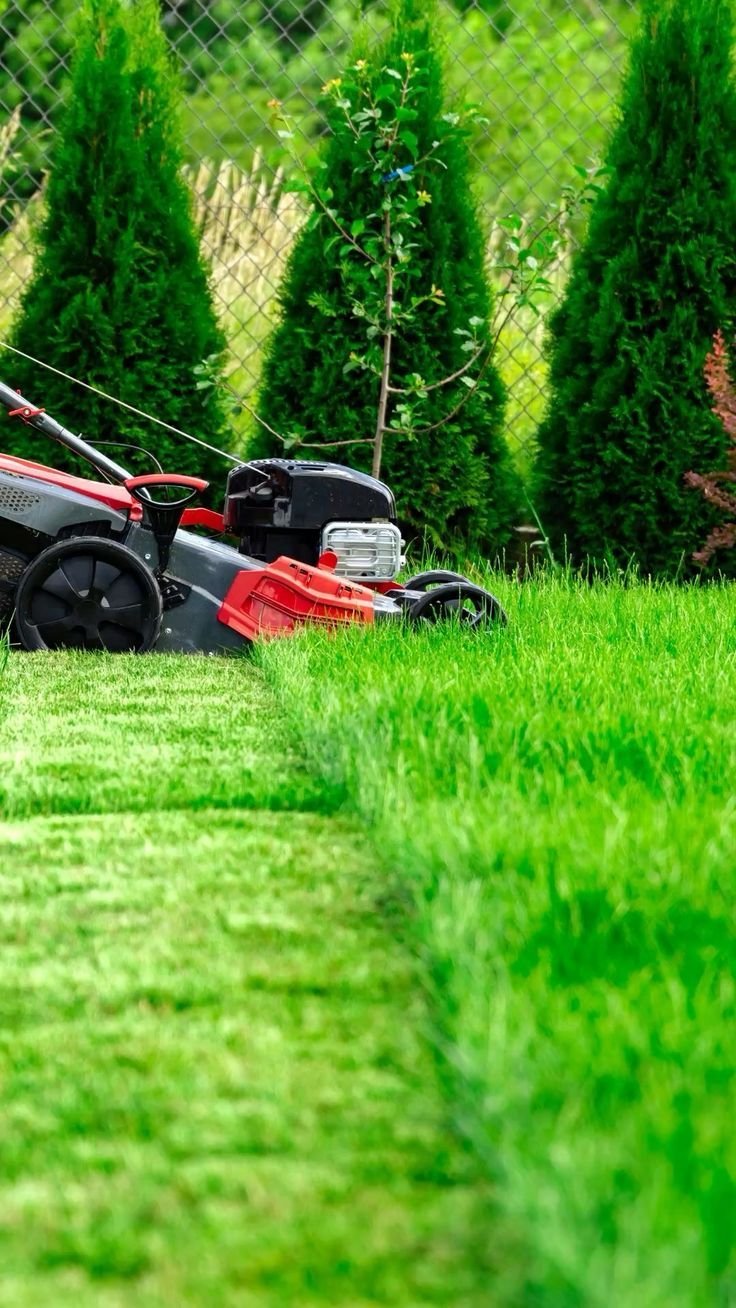 _Perfect Lawn Every Time_ Expert Lawn Mowing Tips You Need!_